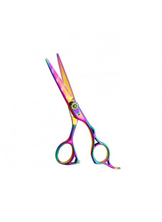 Professional Hair Cutting Scissors